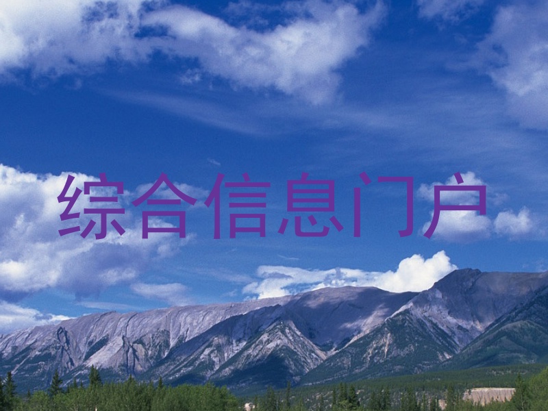 综合信息门户
