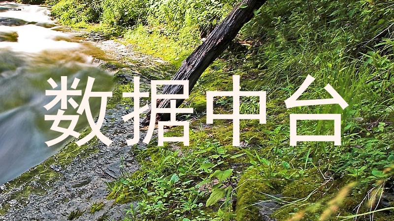 数据中台