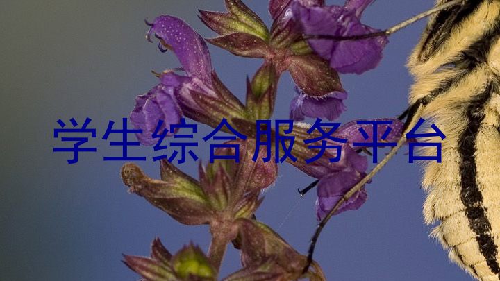 学生综合服务平台