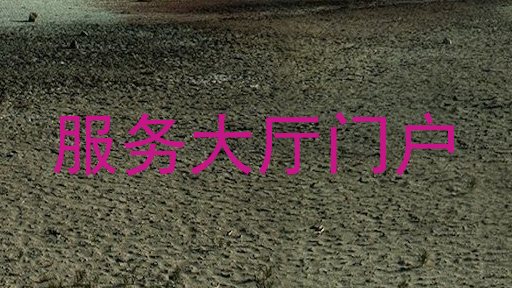 服务大厅门户
