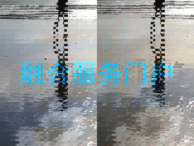 融合服务门户