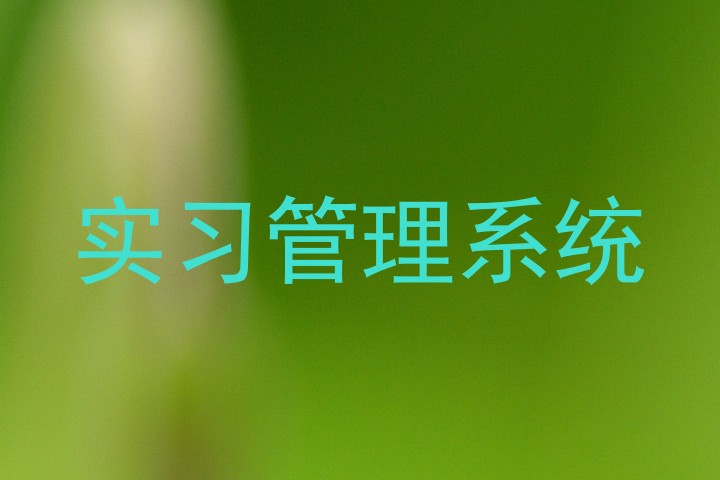 实习管理系统