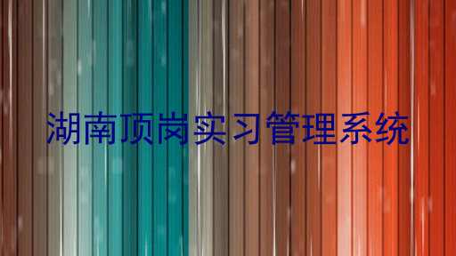 湖南顶岗实习管理系统