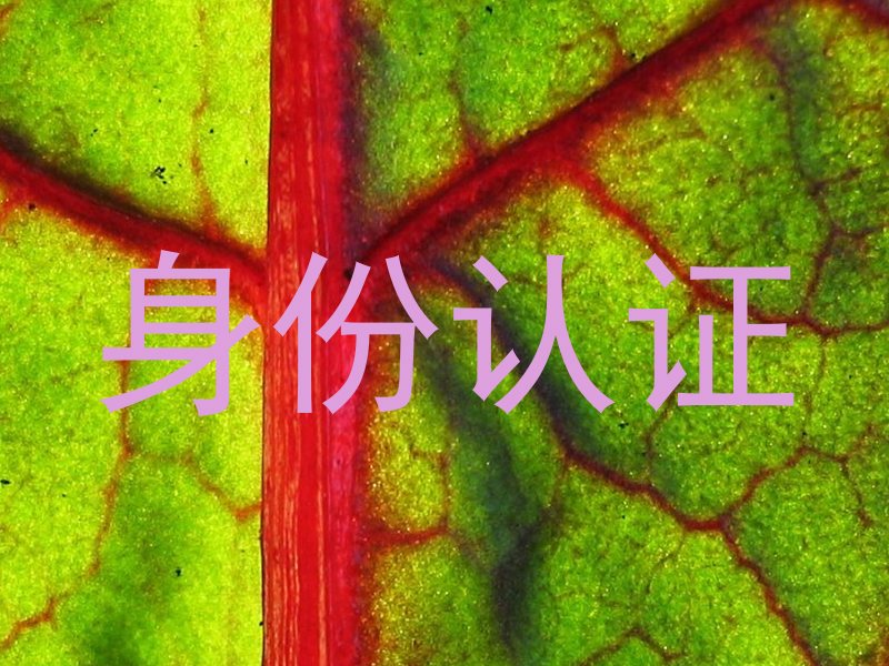 身份认证