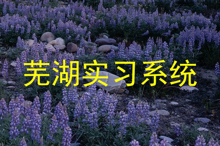 芜湖实习系统