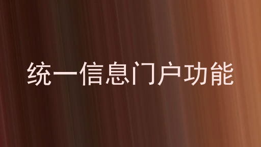 统一信息门户功能