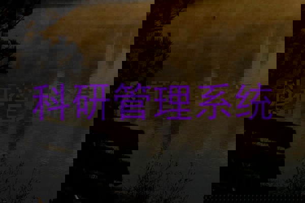 科研管理系统