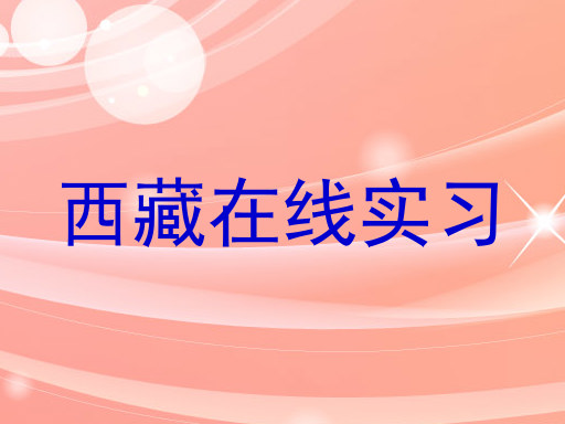 西藏在线实习
