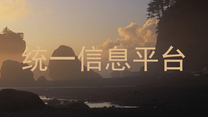 统一信息平台