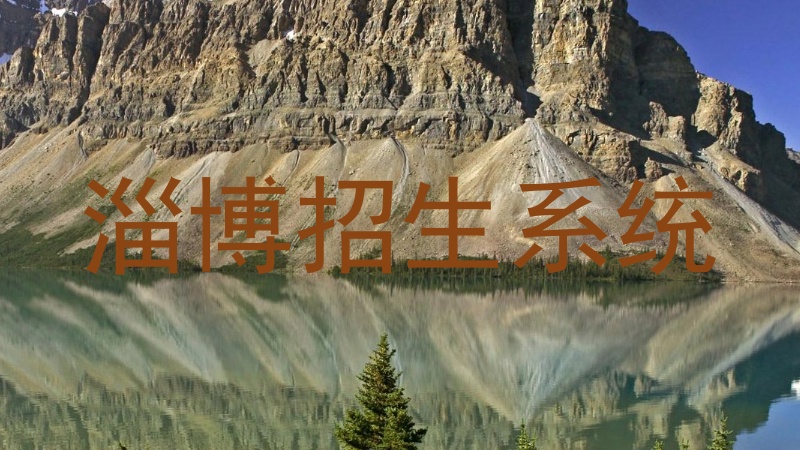 淄博招生系统