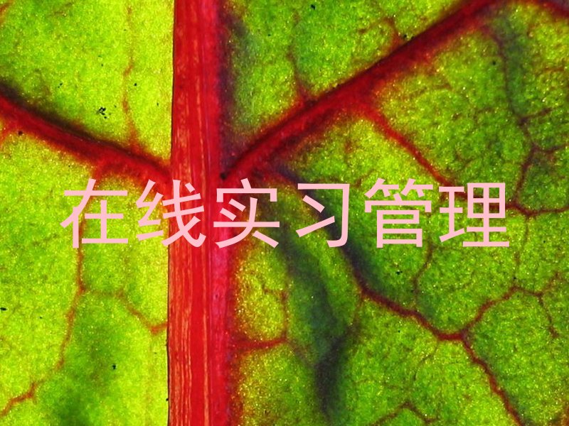 在线实习管理