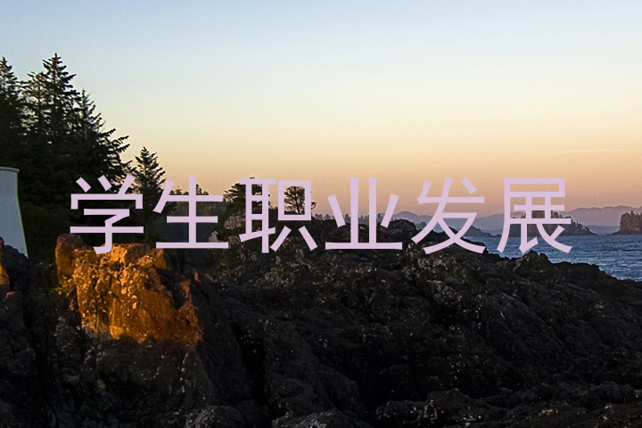 学生职业发展