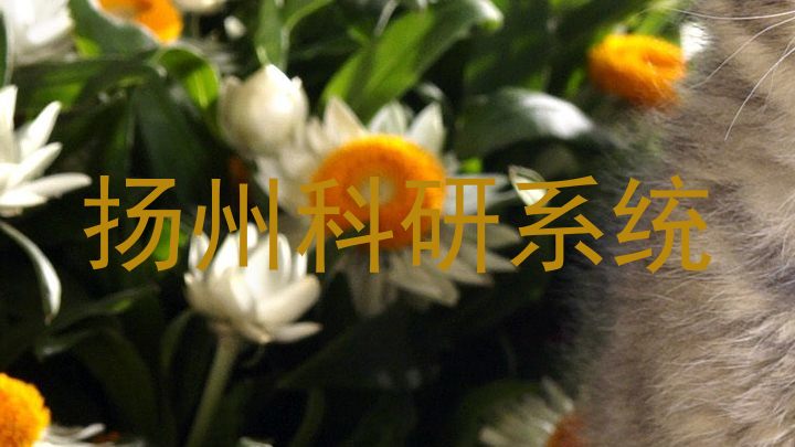 扬州科研系统