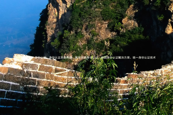 师范大学统一身份认证、身份认证系统构建、教育系统身份认证、校园身份认证解决方案、统一身份认证技术