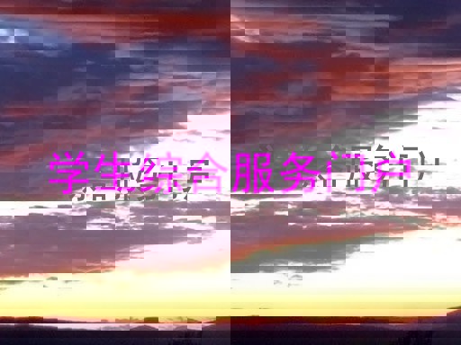 学生综合服务门户