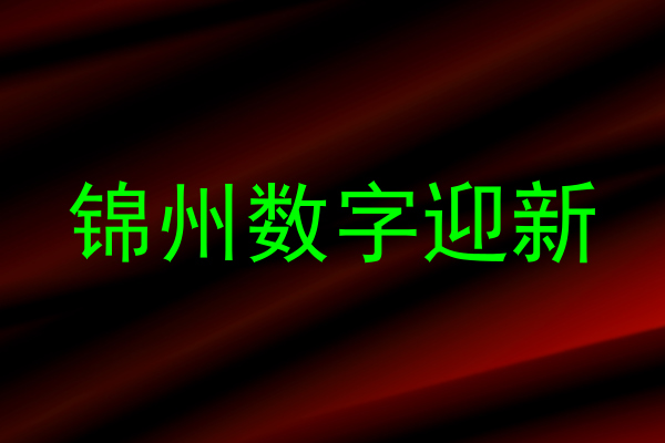 锦州数字迎新