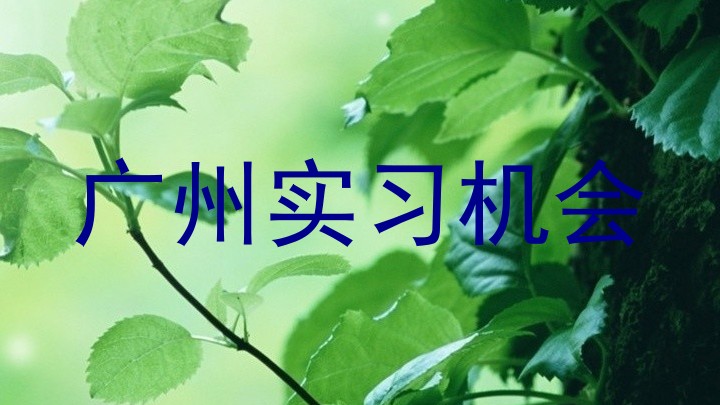 广州实习机会