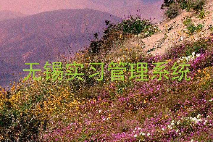 无锡实习管理系统