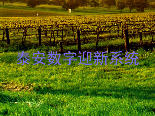 泰安数字迎新系统