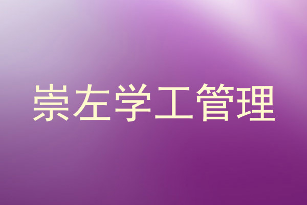崇左学工管理
