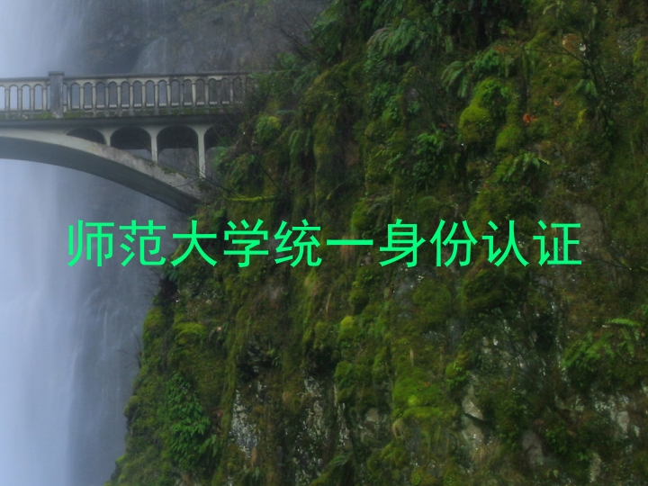 师范大学统一身份认证