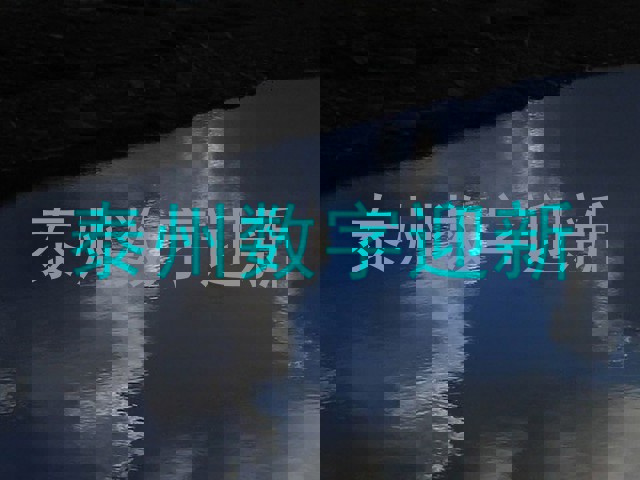 泰州数字迎新