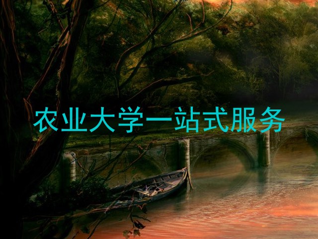 农业大学一站式服务