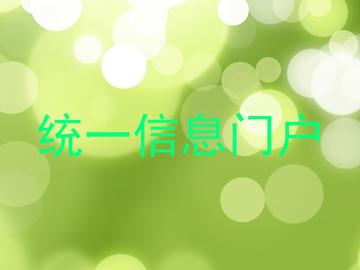 统一信息门户