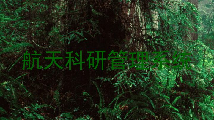航天科研管理系统