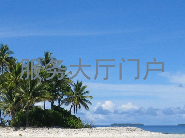 服务大厅门户