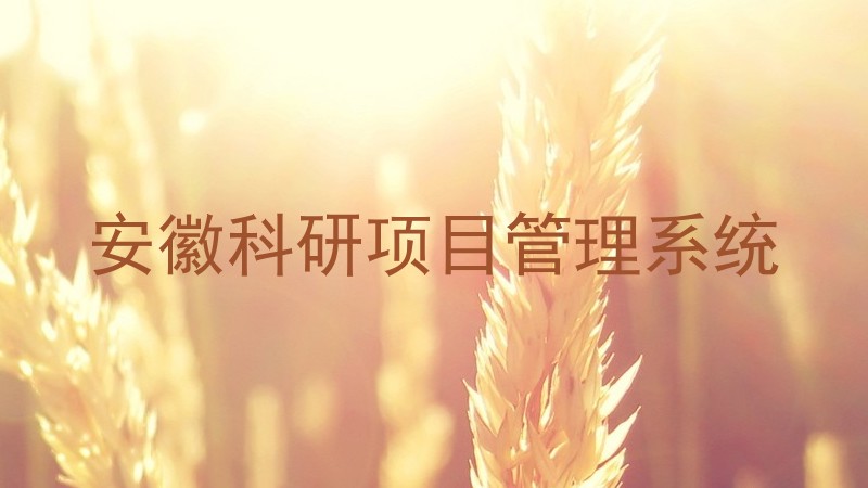 安徽科研项目管理系统