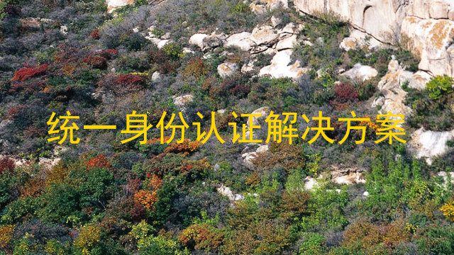 统一身份认证解决方案