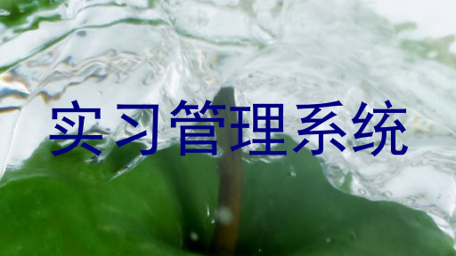 实习管理系统