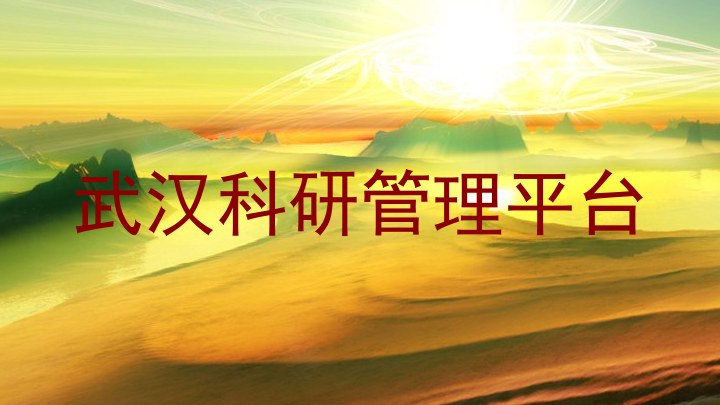 武汉科研管理平台
