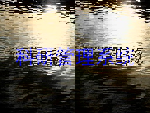 科研管理系统