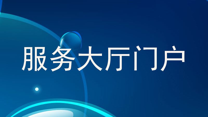 服务大厅门户