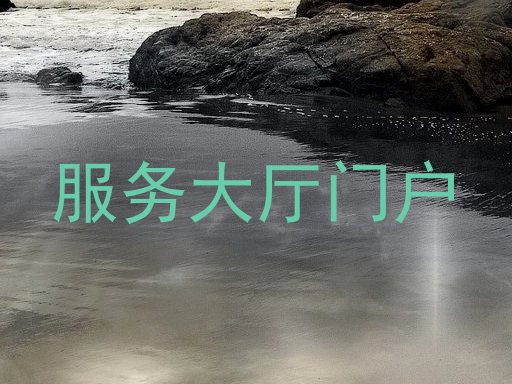 服务大厅门户