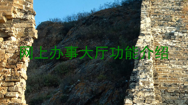 网上办事大厅功能介绍