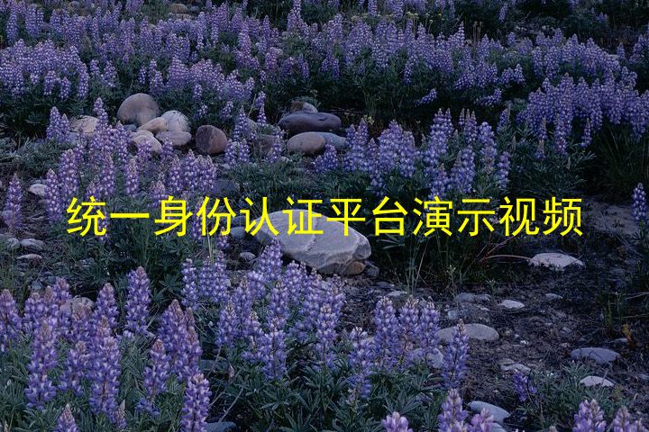 统一身份认证平台演示视频