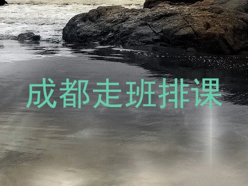 成都走班排课
