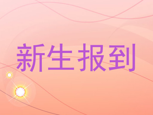 新生报到