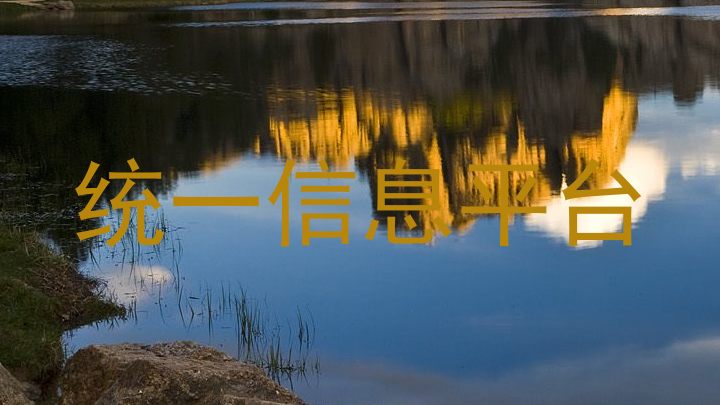 统一信息平台