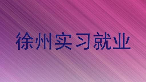 徐州实习就业
