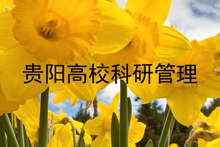 贵阳高校科研管理