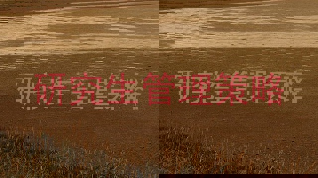 研究生管理策略