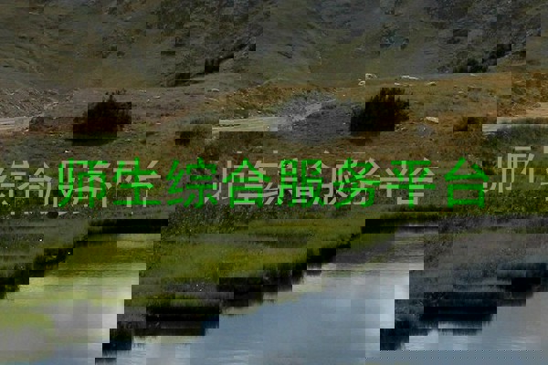 师生综合服务平台