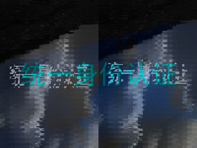 统一身份认证