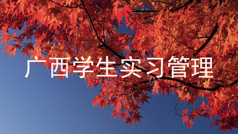 广西学生实习管理