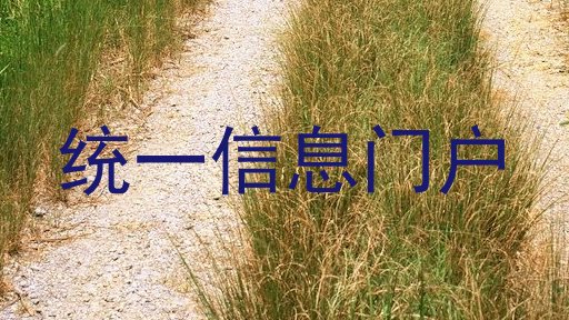 统一信息门户