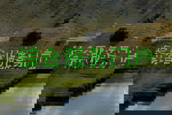 综合服务门户